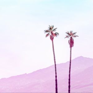 Meet your Posher, Rachael